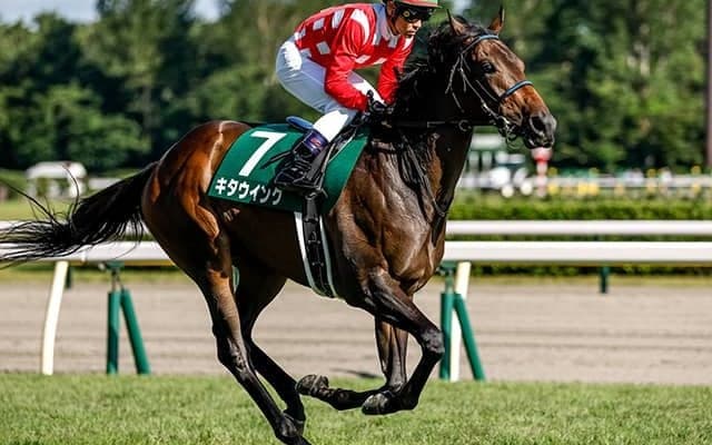 唯一の重賞勝ち馬  杉原誠人騎手との再コンビでフェアリーS制覇なるか