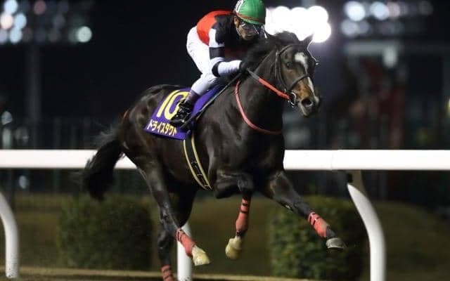 【今日の注目ポイント】3日間開催初日 すばるSでドライスタウトの連勝なるか