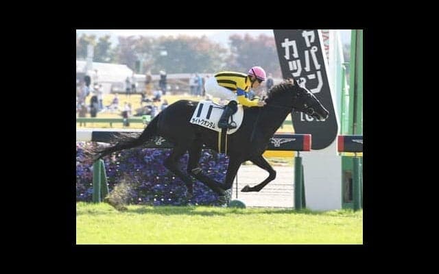 シンザン記念で注目の良血２頭。本命はディープインパクト産駒「最後の世代」