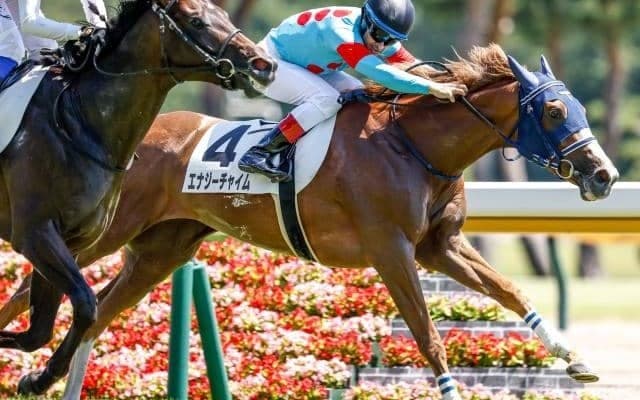 【フェアリーS枠順確定】エナジーチャイムは5枠9番、ヒップホップソウルは3枠5番