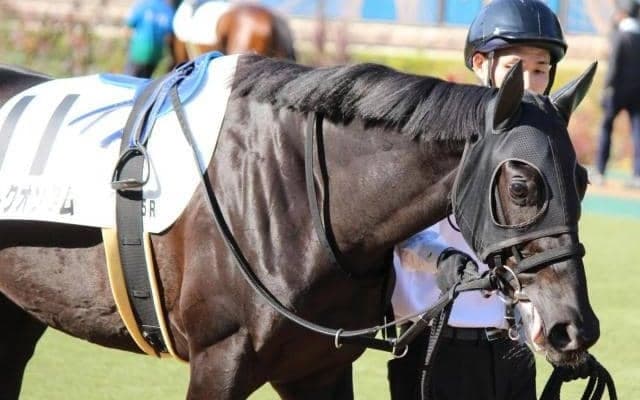 【今日の注目ポイント】中京で3歳マイル重賞のシンザン記念