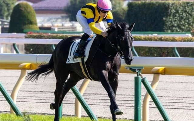 【シンザン記念・馬体重】ライトクオンタムは428kg(+2)、クファシルは486kg(-4)