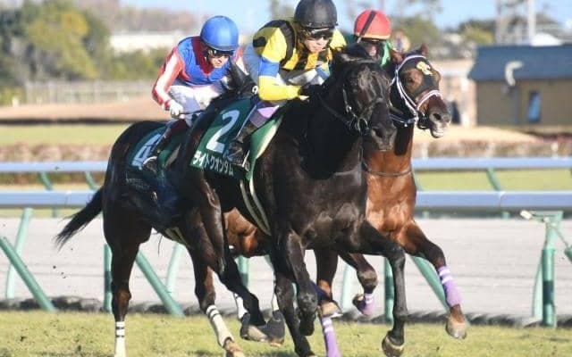 【シンザン記念結果】ディープ最終世代ライトクオンタムが無傷2連勝 武豊騎手はJRA重賞37年連続V＆350勝達成