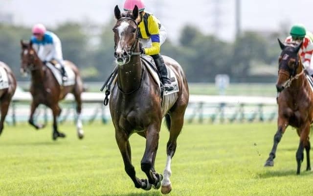 【フェアリーS予想】血統背景からも粗削りながら高い素質 クラシックを占う上で見逃せない3歳牝馬マイル重賞