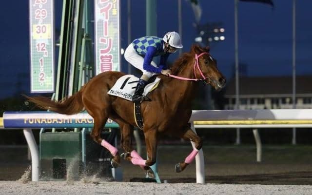 【浦和・ニューイヤーC枠順】名牝ロジータも制した浦和の3歳重賞 デビュー3連勝中のスイフトランナーは2枠2番