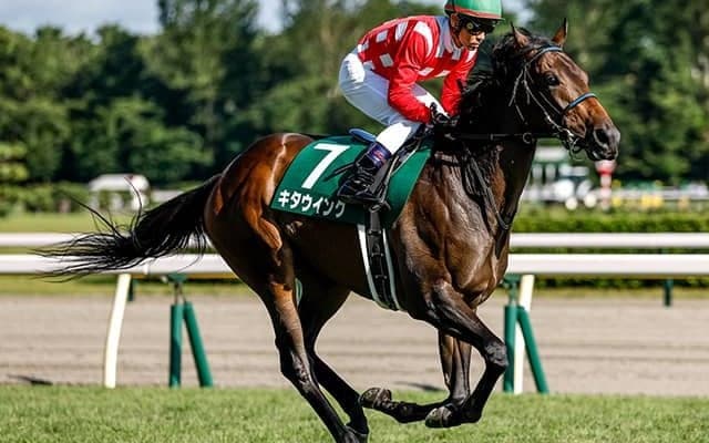 【フェアリーS結果】出走唯一の重賞馬キタウイングが内を突いて抜け出す