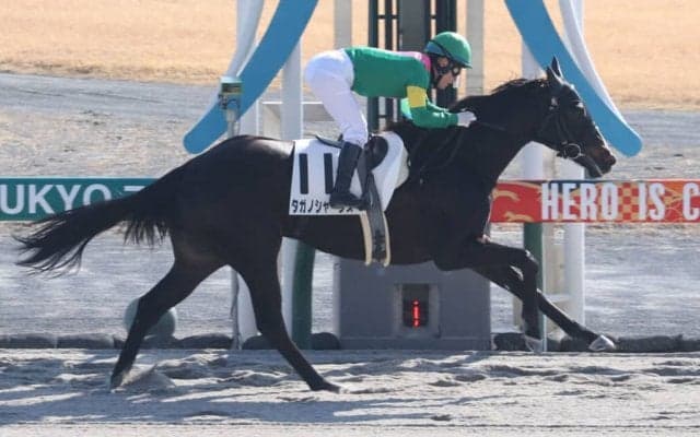 【新馬/中京4R】キタサンブラック産駒 タガノシャーンスが5馬身差圧勝