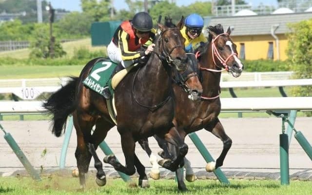 【日経新春杯】ヴェルトライゼンデ、プラダリアらが登録
