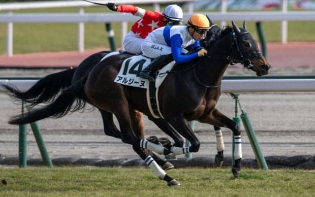 【新馬/中京6R】アルジーヌがデビュー勝ち…ブエナビスタの仔アルタビスタは4着