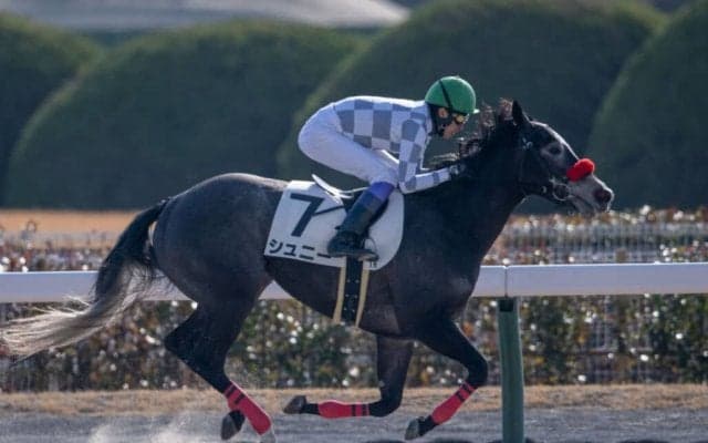 【中京1R】シュニー快勝で武豊騎乗機会3連勝