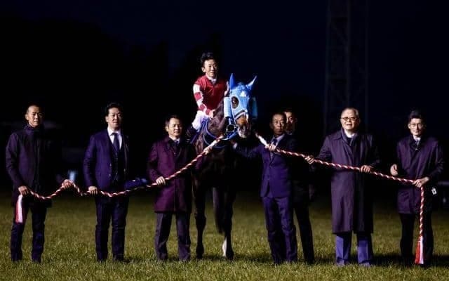 数字で振り返るオジュウチョウサン伝説 総走破距離は135kmで大阪名古屋間に匹敵！