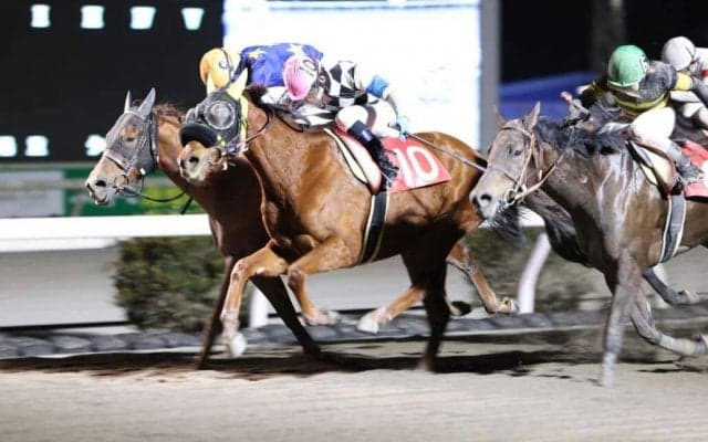 【高知・ベラトリックス特別】コパノフランシスが抜け出す/郷間「少し折り合いを…」