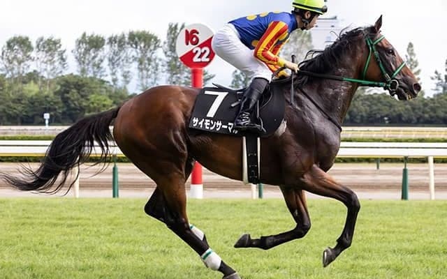 JRA全10場出走達成馬が登録抹消 今後は馬事公苑で誘導馬に