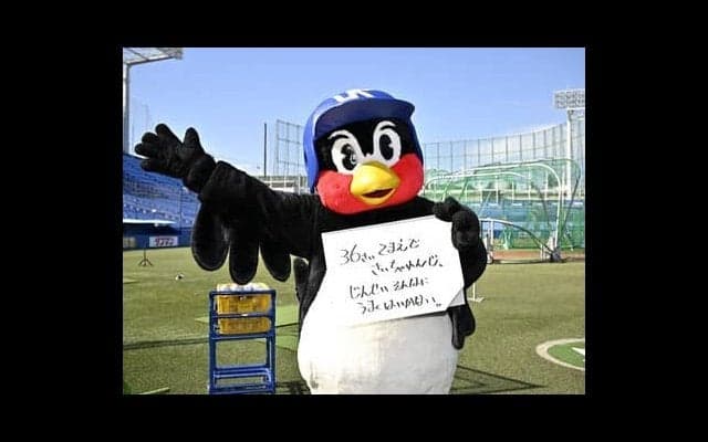 つば九郎の人生相談「35歳手前で転職に失敗。前向きになるにはどうすればいい？」