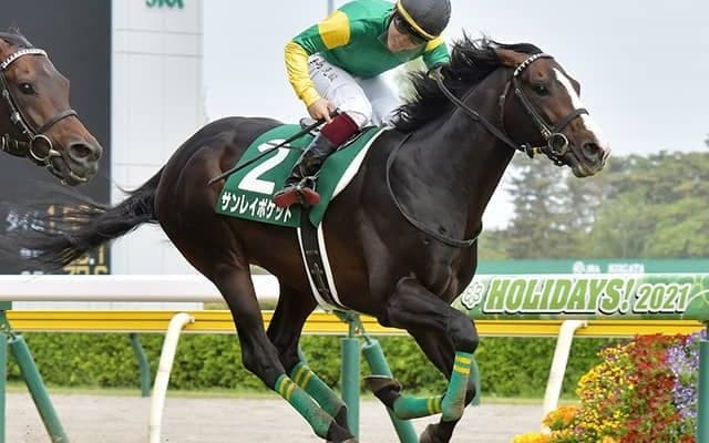 【AI予想・日経新春杯】2週連続の大波乱なるか!? 人工知能は古豪の一発を警戒