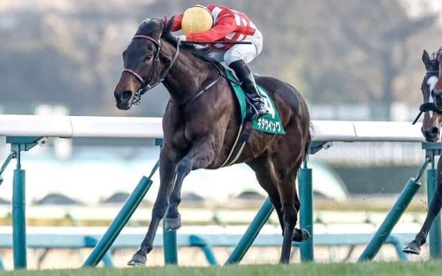 時計の掛かる馬場なら今後も期待できるキタウイング