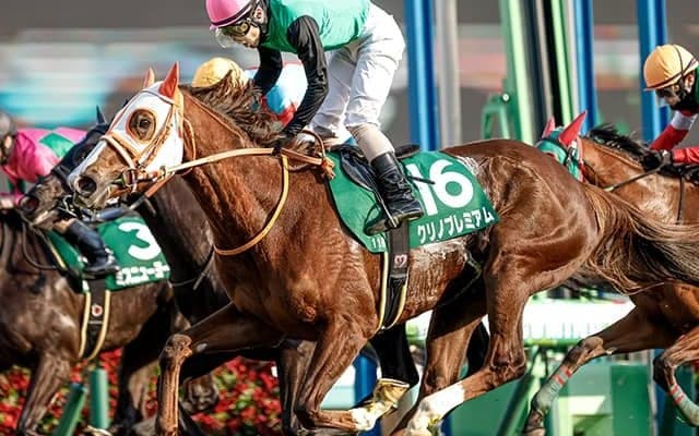 またまた人気薄で激走！ クリノプレミアムを買えなかった人は読んでほしい！