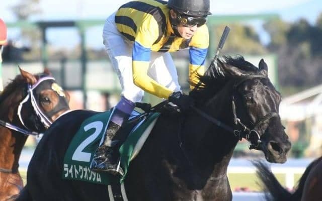 “種牡馬ディープインパクト”の能力を改めて実感したシンザン記念