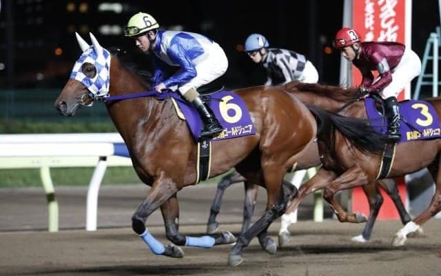 【浦和・ニューイヤーC注目馬】名牝ロジータも制したクラシック前哨戦 ポリゴンウェイヴの重賞初制覇なるか