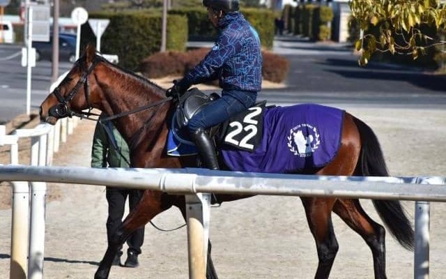 オープンファイアなど、先週の入厩情報/栗東トレセンニュース