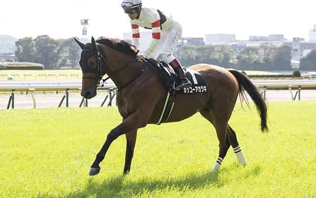 アグネスフライトの血を引くJRA現役馬は5頭 出世頭はホッコーアカツキ