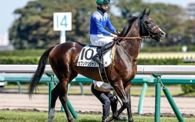 【京成杯予想オッズ】セブンマジシャンが予想1番人気