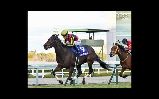 牝馬クラシックをいち早く予想する。識者５人が選定した今年の桜花賞馬とオークス馬