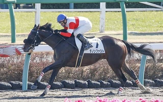 ダノンファスト＆ダンツキャッスルが60kgで門司S出走！ 平地に60kg以上は2年ぶり、Vなら21年ぶり