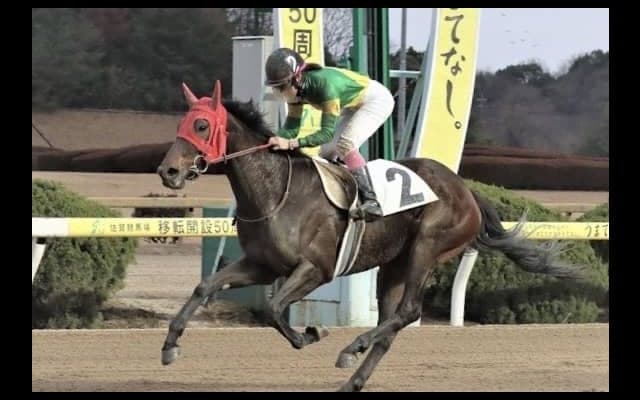 【佐賀競馬】永島まなみが佐賀5Rで今年初勝利！菜七子、聖奈も参戦