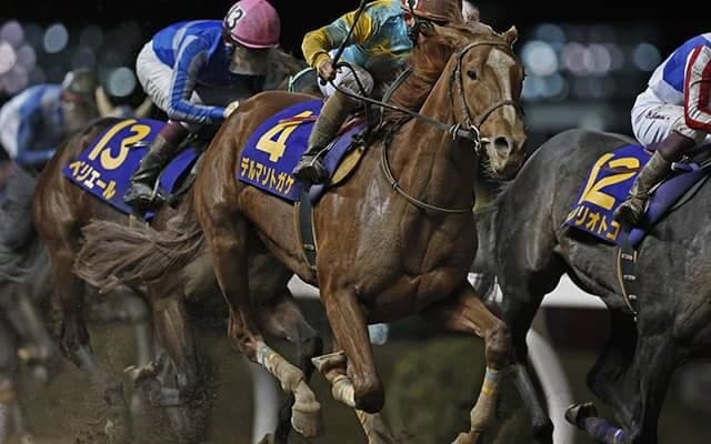 サウジダービーに日本馬33頭が登録 デルマソトガケやウメムスビなど