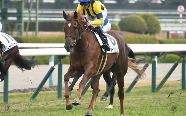 クラシックへの登竜門・紅梅Sは前走マイル組に注目！