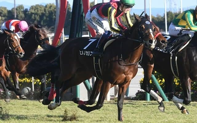 兄はGI・2勝で弟はダービー馬 最強のきょうだい持つ良血牝馬が初重賞へ