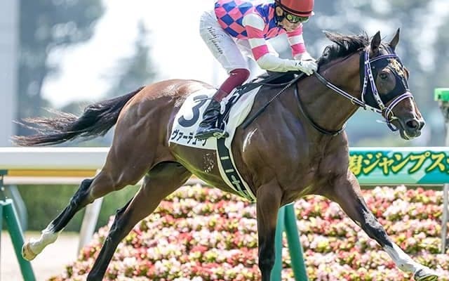 中山芝に“シルバーステート警報” 正月開催は4勝！ 京成杯に2頭がエントリー