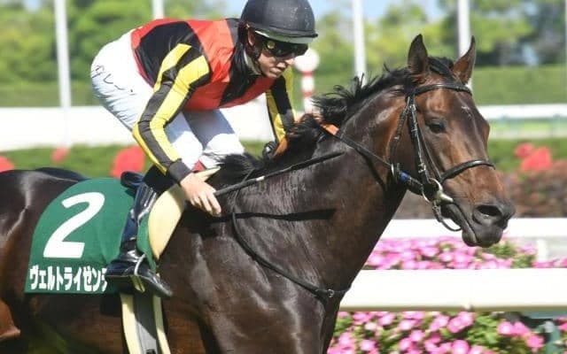 【日経新春杯枠順確定】ヴェルトライゼンデは2枠2番、ヴェローナシチーは5枠8番