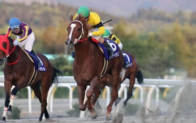 岩手競馬年度代表馬はヴァケーション