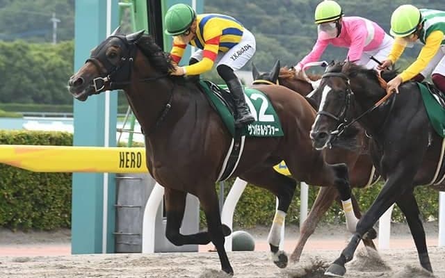 ゲンパチルシファーやアイアンバローズなど東海Sに15頭