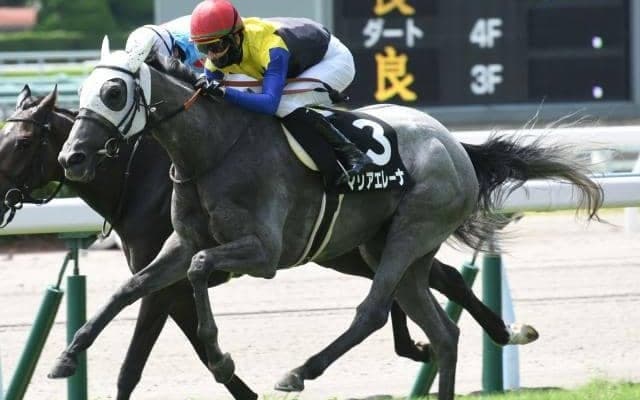 【今日の注目ポイント】中京で牝馬のハンデ重賞・愛知杯