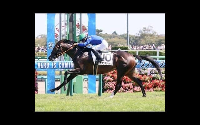 京成杯はレースと相性がいいハーツクライの血に注目。最注目の種牡馬、キタサンブラックの産駒も重賞初制覇を狙う