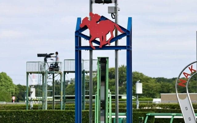 【カーバンクルS】ジュビリーヘッドが混戦を断つ