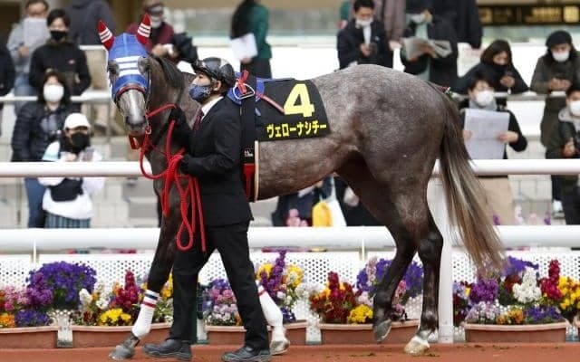 【日経新春杯】川田騎手＆エピファネイア産駒は中京芝2200の最強コンビ！ ヴェローナシチーを狙い撃ち