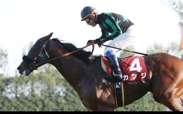 カツジが競走馬登録抹消