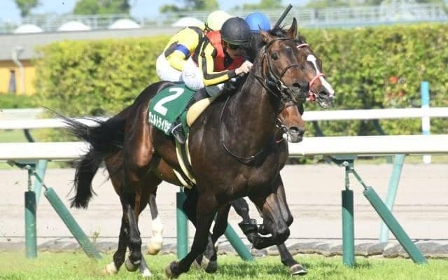 【今日の注目ポイント】中京で日経新春杯、中山では京成杯