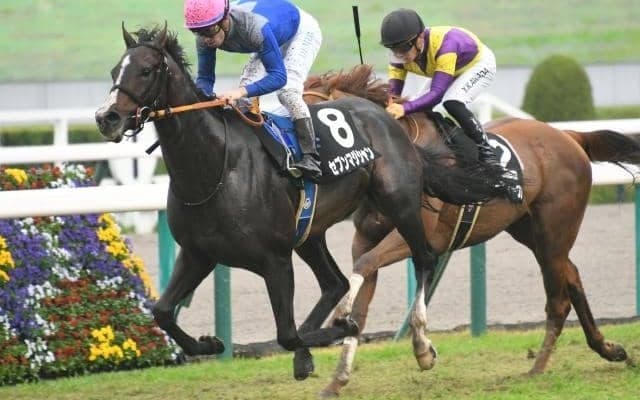 【京成杯予想】2度の急坂を越える舞台 スタミナに裏付けされた持続力が求められる