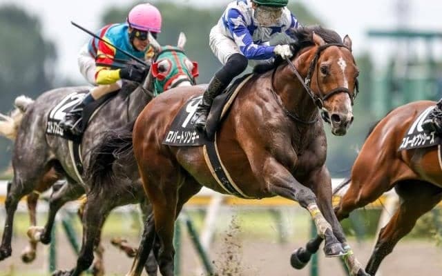 【日経新春杯予想】過去10年では4歳馬が圧倒的有利なレース