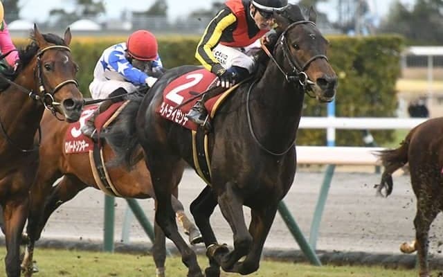 【日経新春杯結果】ヴェルトライゼンデが接戦を制す トップハンデをこなして重賞2勝目