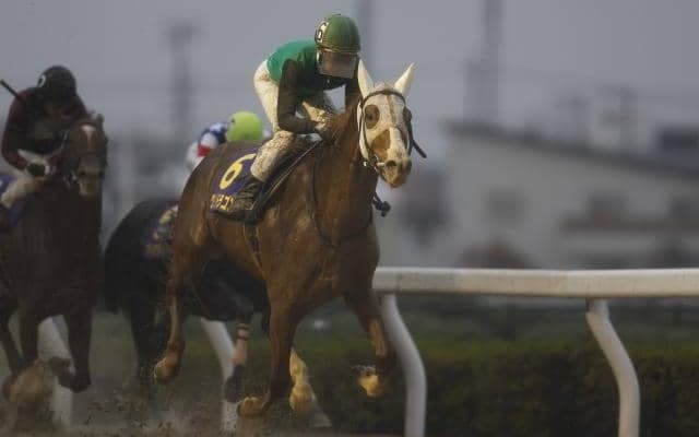 【東海S】クリノドラゴン、サンライズウルスらが登録