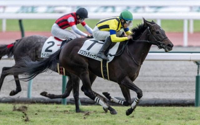 【新馬/中京6R】ルーラーシップ産駒 マスクトディーヴァがデビューV