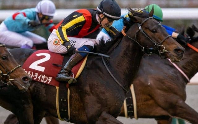 【日経新春杯】イーガン「ハートもガッツもある」ヴェルトライゼンデが重賞2勝目