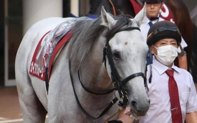 中山でAJCC、中京で東海S 武豊騎手はJRA通算4400勝まであと「2」/今週の競馬界の見どころ