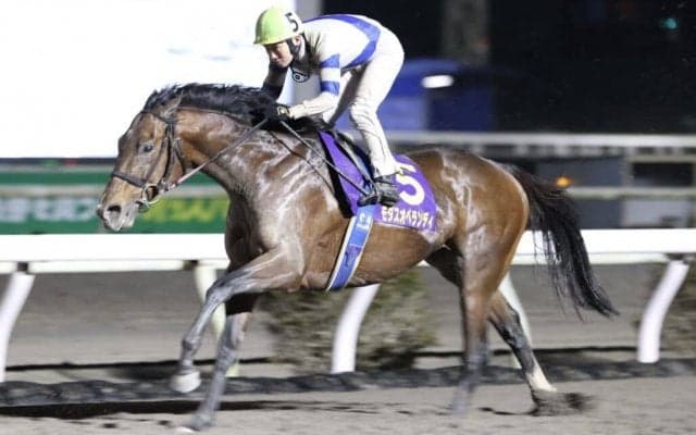 【高知・大高坂賞】モダスオペランディが4馬身差圧勝/赤岡「入厩する馬のレベルが上がってきている」